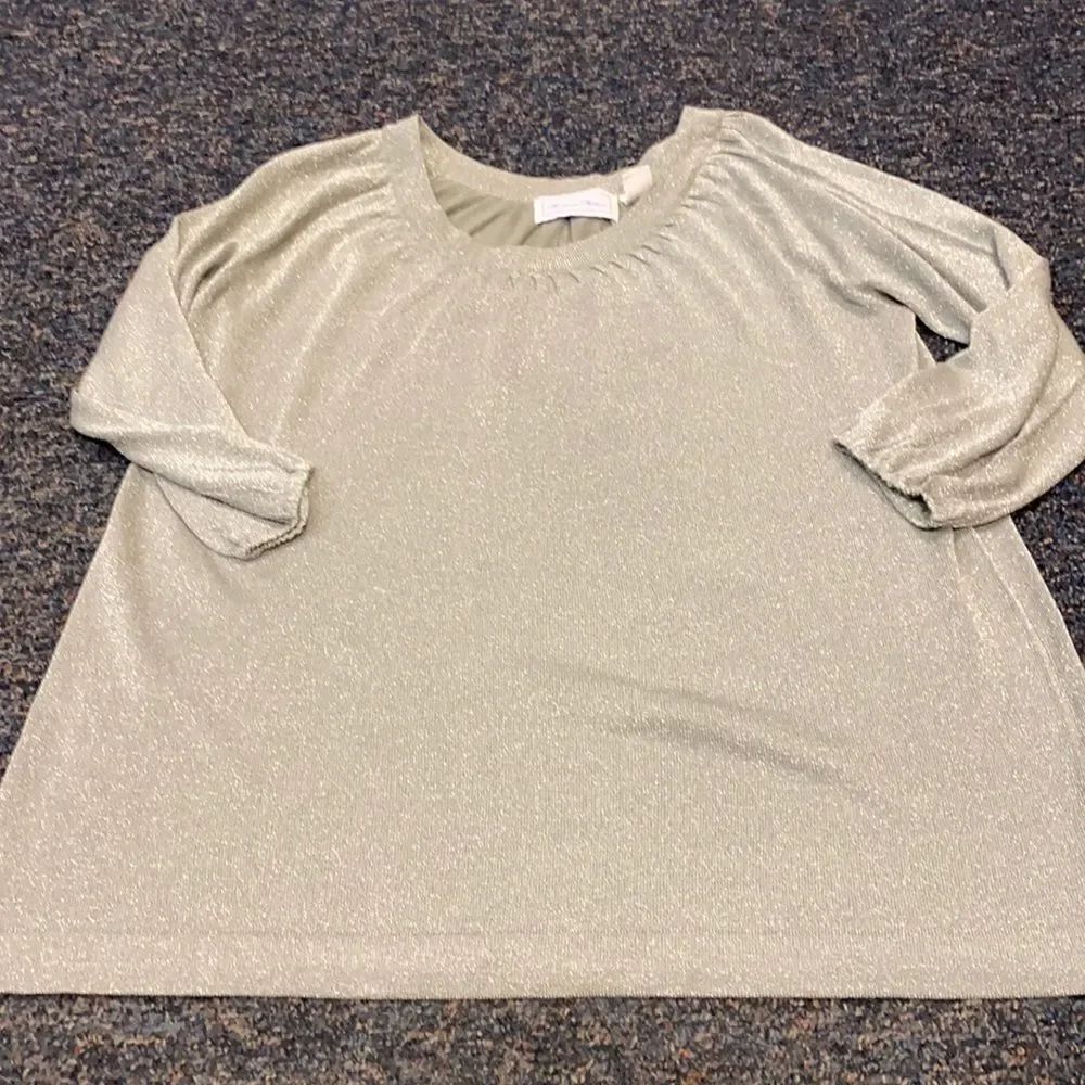 Woman Within Silver Shimmer Top sz. 1X